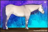 Horse Color:Watercolor Bay Onyx 