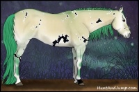 Horse Color:Watercolor White Spotted Buckskin Onyx 
