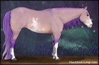 Horse Color:Watercolor Buckskin Dun Sabino Rabicano