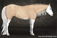 Horse Color:Silver Classic Champagne Roan Splash