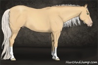 Horse Color:Silver Amber Cream Champagne