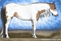 Horse Color:Bay Dun Tobiano Frame Rabicano