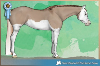 Horse Color:Liver Red Dun Splash 
