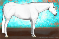Horse Color:Gray Buckskin Roan 