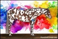 Horse Color:Liver Chestnut Near Leopard 