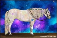 Horse Color:Nacre Palomino Ice Roan 