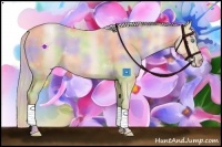 Horse Color:Nacre Palomino Pearl Sabino 