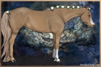 Horse Color:Palomino 