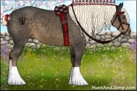 Horse Color:Liver Chestnut Sabino Rabicano 