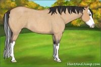 Horse Color:Bay Roan Dun Splash