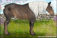 Horse Color:Liver Chestnut Rabicano 