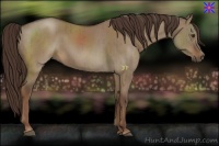 Horse Color:Liver Red Dun Brindle 