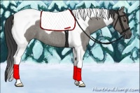 Horse Color:Smoky Grullo Roan Tobiano 