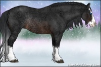 Horse Color:Brown Ice Roan Sabino Splash Rabicano 