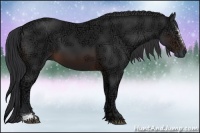 Horse Color:Brown Ice Sabino 