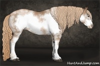 Horse Color:White Spotted Liver Chestnut Pearl Frame Rabicano 