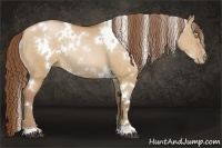 Horse Color:White Spotted Bay Pearl Dun Rabicano 