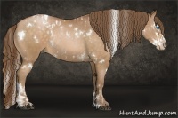 Horse Color:White Spotted Brown Pearl Splash Rabicano  and White Spotted Bay Pearl Rabicano 
