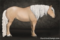 Horse Color:Silver Brown Roan Pearl Sabino Rabicano
