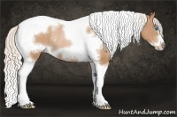 Horse Color:White Spotted Silver Brown Pearl Tobiano Frame Rabicano