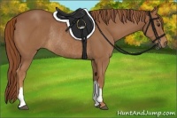 Horse Color:Chestnut Rabicano 