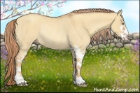 Horse Color:Gold Champagne Dun Sabino Rabicano