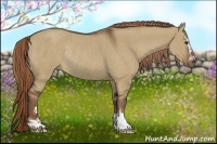 Horse Color:Liver Red Dun Sabino Rabicano