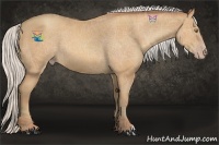 Horse Color:Silver Amber Champagne 