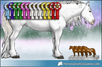 Horse Color:Liver Red Dun Mushroom Sabino Splash Rabicano Brindle 