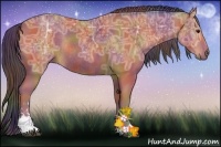 Horse Color:Nacre Bay Ice Sabino Rabicano 