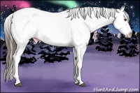 Horse Color:Liver Chestnut Frame Appaloosa 