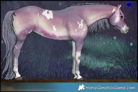 Horse Color:Watercolor White Spotted Bay Onyx and Watercolor White Spotted Brown Onyx