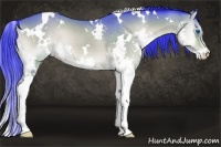 Horse Color:Watercolor White Spotted Bay Onyx Splash 