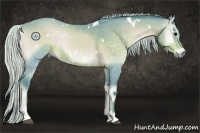 Horse Color:Watercolor White Spotted Silver Buckskin Onyx Sabino