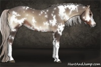 Horse Color:White Spotted Silver Blue Onyx 