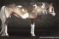 Horse Color:White Spotted Silver Blue Onyx 