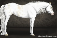 Horse Color:Liver Red Dun Pearl Sabino 