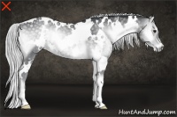 Horse Color:White Spotted Silver Blue Onyx Chinchilla 