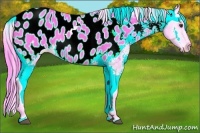 Horse Color:Watercolor Chestnut Sabino Appaloosa 
