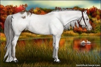 Horse Color:Liver Red Dun Varnish