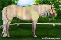 Horse Color:Nacre Silver Buckskin Dun 