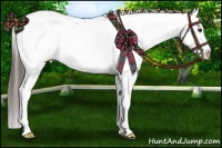 Horse Color:White Spotted Liver Chestnut Blanket 