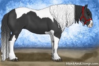 Horse Color:Black Splash Tobiano 