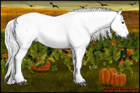 Horse Color:Gray Bay