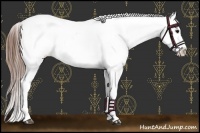 Horse Color:White Spotted Brown Roan Splash Varnish 