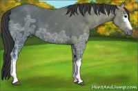 Horse Color:White Spotted Black Ice 