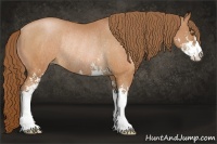 Horse Color:Brown Pearl Sabino Rabicano 