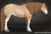 Horse Color:Bay Pearl Sabino
