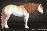 Horse Color:Bay Pearl Onyx Sabino Frame 