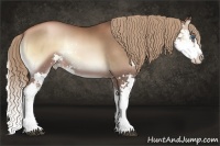 Horse Color:Liver Red Onyx Pearl Sabino Splash Rabicano
